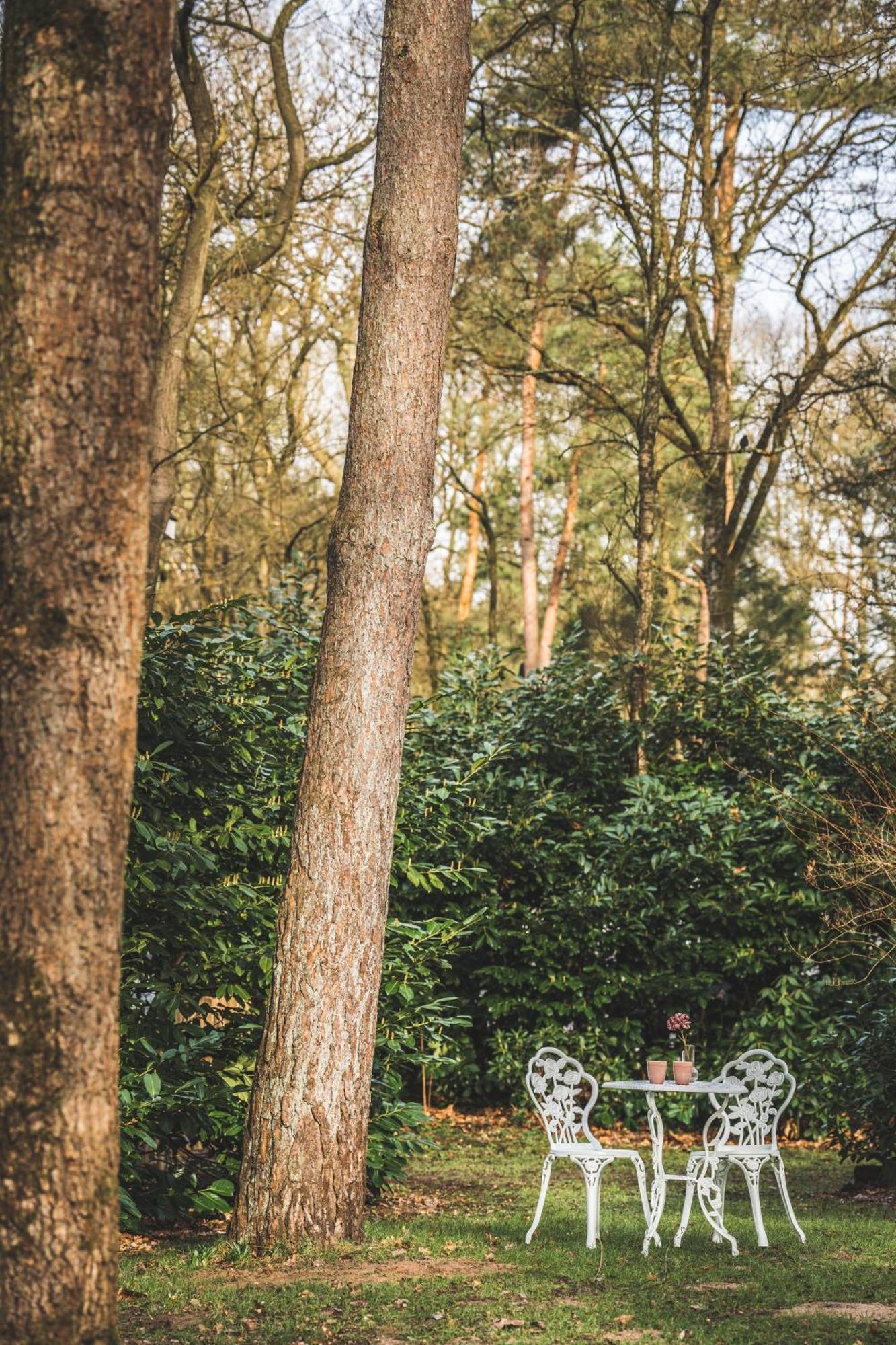 Boshuisje Op De Veluwe Nunspeet Eksteriør billede